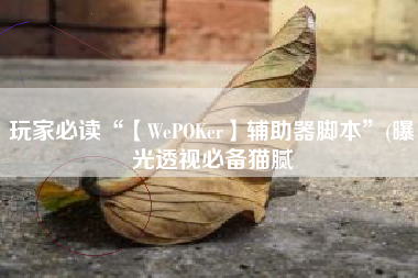 玩家必读“【WePOKer】辅助器脚本	”(曝光透视必备猫腻