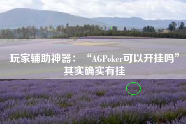 玩家辅助神器：“AGPoker可以开挂吗	”其实确实有挂
