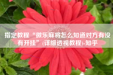 指定教程“微乐麻将怎么知道对方有没有开挂”(详细透视教程)-知乎
