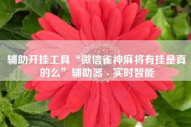 辅助开挂工具“微信雀神麻将有挂是真的么”辅助器 - 实时智能