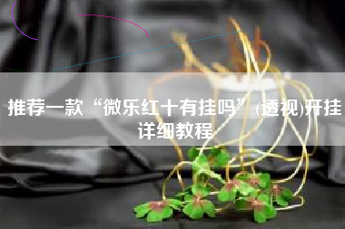 推荐一款“微乐红十有挂吗	”(透视)开挂详细教程