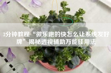 3分钟教程“微乐跑的快怎么让系统发好牌”揭秘透视辅助万能挂用法