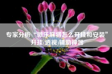 专家分析“微乐麻将怎么开挂和安装”开挂(透视)辅助神器