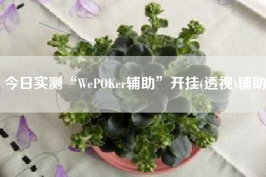 今日实测“WePOKer辅助”开挂(透视)辅助