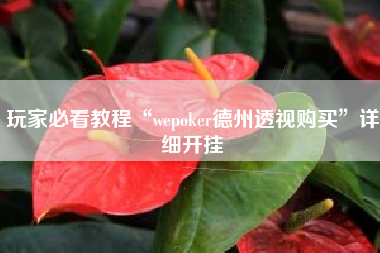 玩家必看教程“wepoker德州透视购买”详细开挂