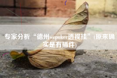 专家分析“德州wepoker透视挂	”(原来确实是有插件)