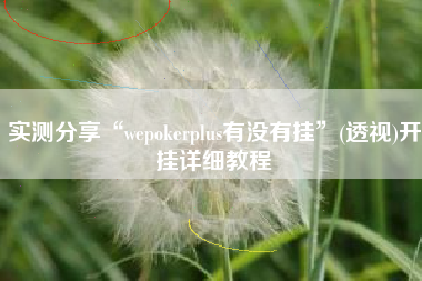 实测分享“wepokerplus有没有挂”(透视)开挂详细教程