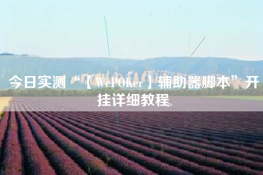 今日实测“【WePOKer】辅助器脚本”开挂详细教程