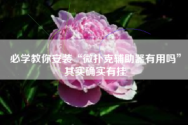 必学教你安装“微扑克辅助器有用吗”其实确实有挂