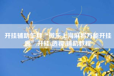 开挂辅助工具“微乐上海麻将万能开挂器	”开挂(透视)辅助教程