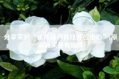 分享实测“雀神麻将有挂各位小心”(原来确实是有插件