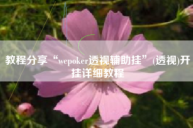 教程分享“wepoker透视辅助挂	”(透视)开挂详细教程