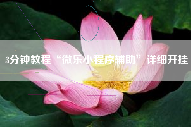3分钟教程“微乐小程序辅助	”详细开挂