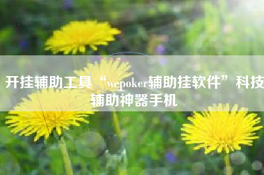 开挂辅助工具“wepoker辅助挂软件”科技辅助神器手机