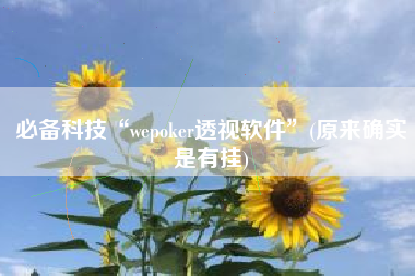 必备科技“wepoker透视软件	”(原来确实是有挂)