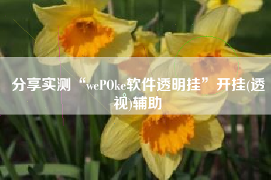 分享实测“wePOke软件透明挂”开挂(透视)辅助
