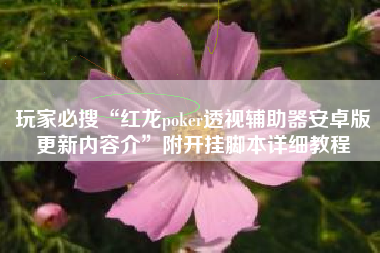 玩家必搜“红龙poker透视辅助器安卓版更新内容介	”附开挂脚本详细教程