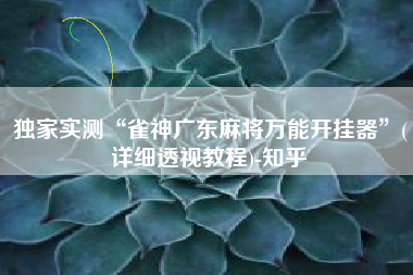 独家实测“雀神广东麻将万能开挂器	”(详细透视教程)-知乎
