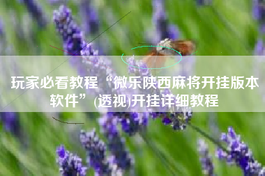 玩家必看教程“微乐陕西麻将开挂版本软件	”(透视)开挂详细教程