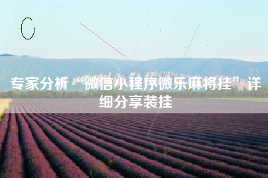 专家分析“微信小程序微乐麻将挂	”详细分享装挂