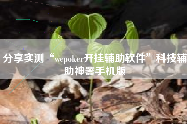 分享实测“wepoker开挂辅助软件	”科技辅助神器手机版
