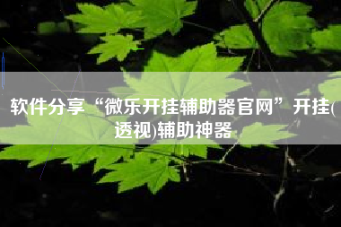 软件分享“微乐开挂辅助器官网”开挂(透视)辅助神器