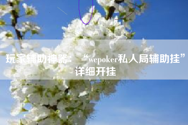 玩家辅助神器：“wepoker私人局辅助挂”详细开挂
