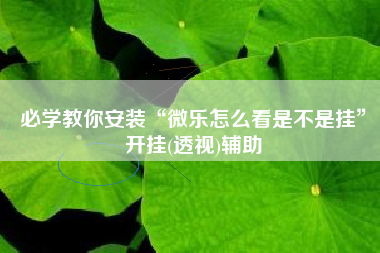 必学教你安装“微乐怎么看是不是挂	”开挂(透视)辅助