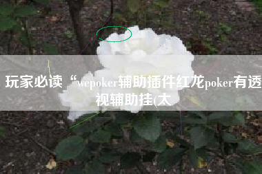 玩家必读“wepoker辅助插件红龙poker有透视辅助挂(太