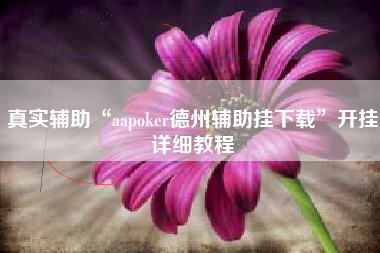 真实辅助“aapoker德州辅助挂下载”开挂详细教程