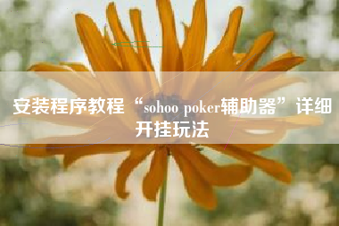 安装程序教程“sohoo poker辅助器”详细开挂玩法