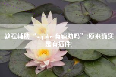 教程辅助“wepoker有辅助吗”(原来确实是有插件)