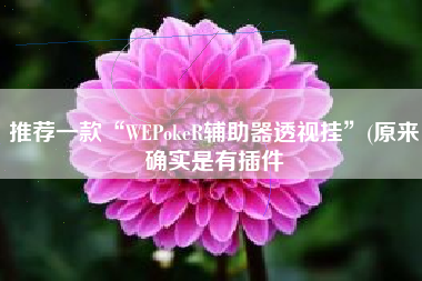 推荐一款“WEPokeR辅助器透视挂”(原来确实是有插件