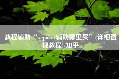 教程辅助“wepoker辅助哪里买”(详细透视教程)-知乎