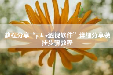 教程分享“poker透视软件”详细分享装挂步骤教程