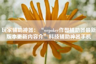 玩家辅助神器：“wepoker作弊辅助器最新版本更新内容介	”科技辅助神器手机