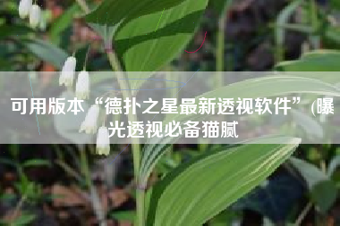 可用版本“德扑之星最新透视软件”(曝光透视必备猫腻