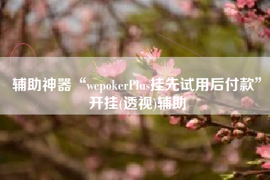 辅助神器“wepokerPlus挂先试用后付款”开挂(透视)辅助