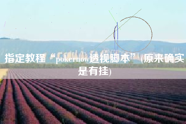 指定教程“pokernow透视脚本	”(原来确实是有挂)