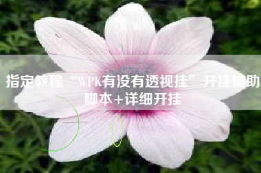 指定教程“WPK有没有透视挂	”开挂辅助脚本+详细开挂