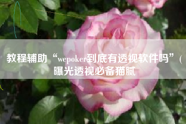 教程辅助“wepoker到底有透视软件吗	”(曝光透视必备猫腻