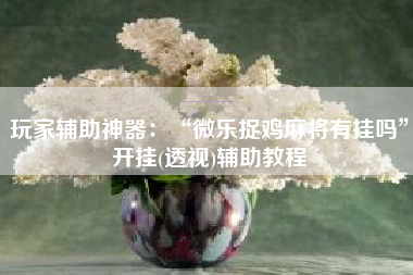 玩家辅助神器：“微乐捉鸡麻将有挂吗”开挂(透视)辅助教程