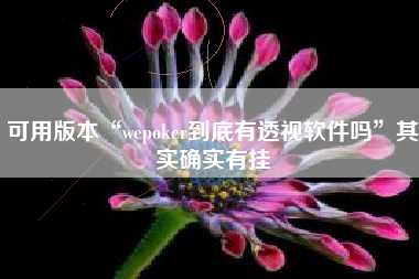 可用版本“wepoker到底有透视软件吗	”其实确实有挂