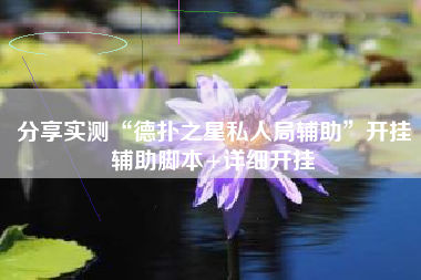 分享实测“德扑之星私人局辅助”开挂辅助脚本+详细开挂