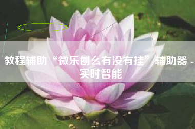 教程辅助“微乐刨幺有没有挂”辅助器 - 实时智能