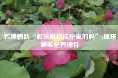 教程辅助“微乐麻将挂是真的吗	”(原来确实是有插件