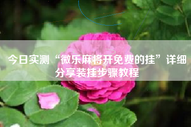 今日实测“微乐麻将开免费的挂”详细分享装挂步骤教程