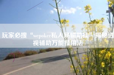 玩家必搜“wepoker私人局辅助挂”揭秘透视辅助万能挂用法