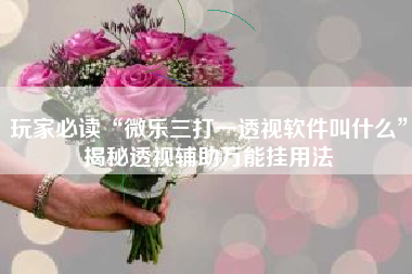 玩家必读“微乐三打一透视软件叫什么	”揭秘透视辅助万能挂用法