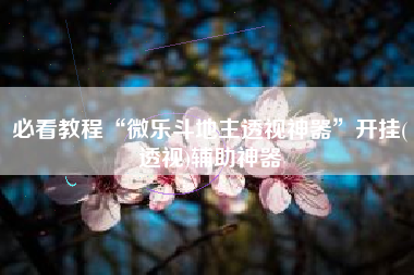 必看教程“微乐斗地主透视神器	”开挂(透视)辅助神器